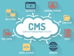 10 Best CMS Services: Unlocking the Potential of CMS